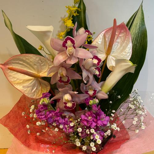 ����������V���s�W���[���ƃA���X�����[���̃A�����W�����g3