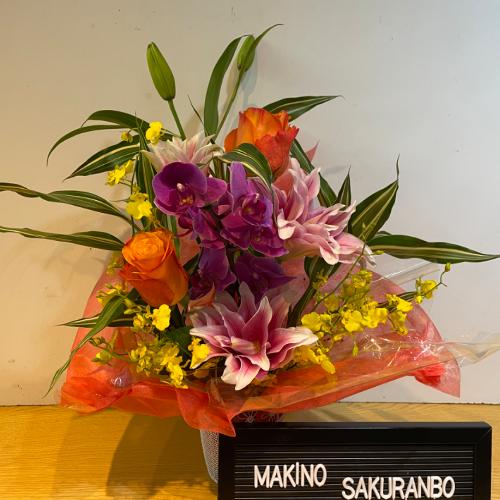 ���X�l�C�̔��d�炫�S���I�ƌӒ����̃A�����W�����g