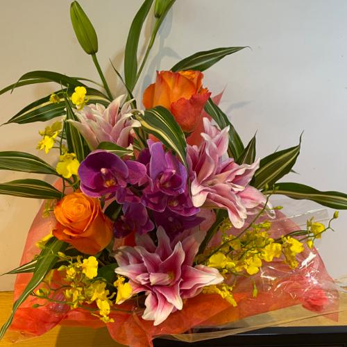 ���X�l�C�̔��d�炫�S���I�ƌӒ����̃A�����W�����g3