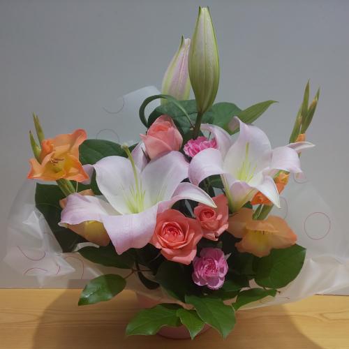 �S���ƃT�[�����s���N�̃o���̃A�����W�����g3