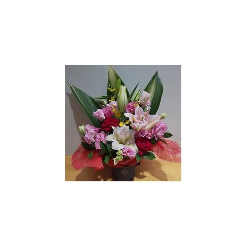 ���d�炫�S���ƐԂ��o���̃A�����W�����g2