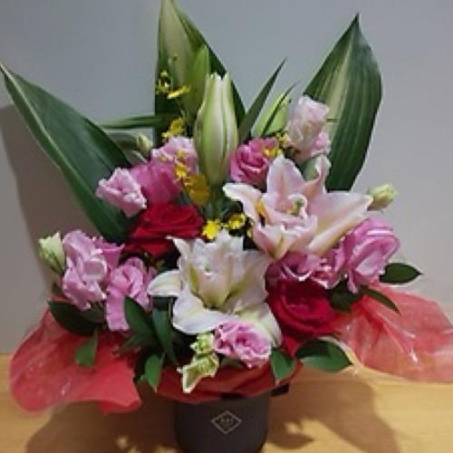 ���d�炫�S���ƐԂ��o���̃A�����W�����g4