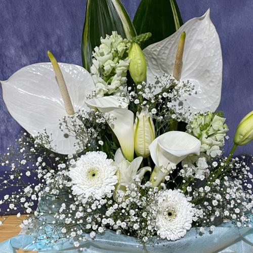 �A���X�����[�����C���̍��؂Ȃ������A�����W�����g2