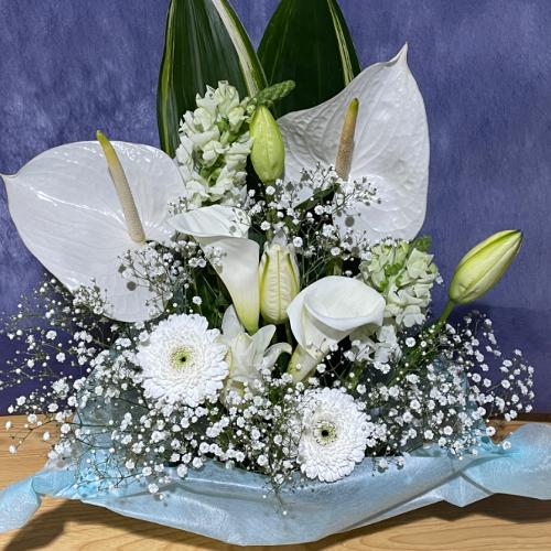 �A���X�����[�����C���̍��؂Ȃ������A�����W�����g3