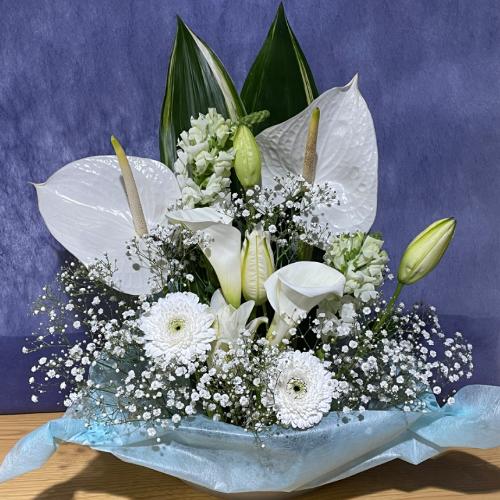 �A���X�����[�����C���̍��؂Ȃ������A�����W�����g4