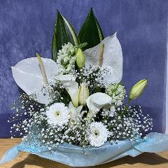 �A���X�����[�����C���̍��؂Ȃ������A�����W�����g