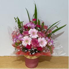 �s���N�K�[�x���ƕ��F�̃o���̐l�C�̃A�����W�����g