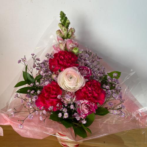 �s���N�Ɣ��̉������͋C�̃A�����W�����g2