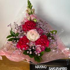 �s���N�Ɣ��̉������͋C�̃A�����W�����g