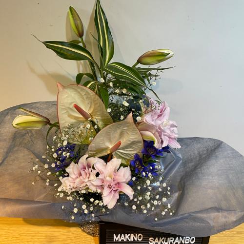 �A���X�����[���Ɣ��d�̕S���̂������A�����W�����g4