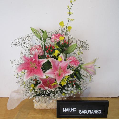 �s���N�̕S�������C���A�����F�̂����A�����W�����g