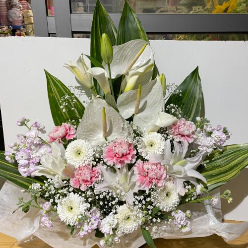 �s���N����ꂽ�A���؂Ȃ������A�����W�����g�i�A���X�����[���j2