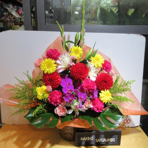 �Ӓ����ƃJ���t���ȃA�����W�����g5