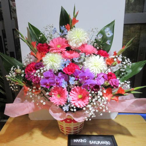�s���N�����C��!�Ӓ��������!�J���t�����؂ȃA�����W�����g2