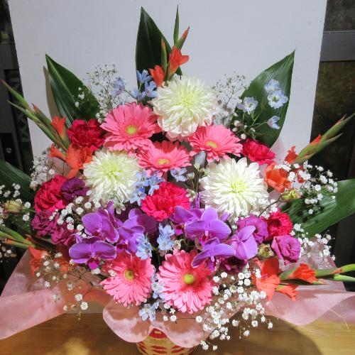 �s���N�����C��!�Ӓ��������!�J���t�����؂ȃA�����W�����g4
