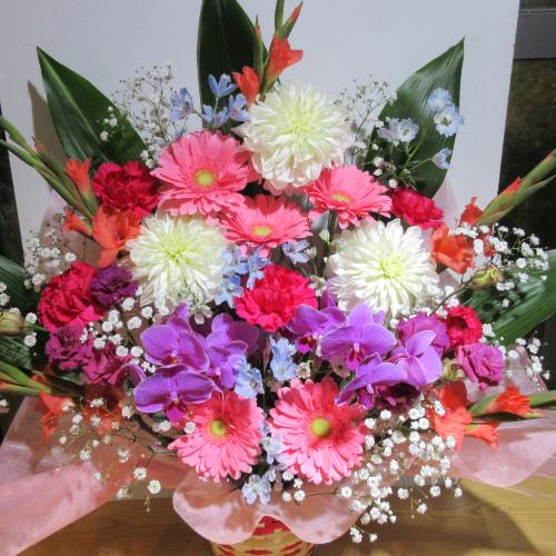 �s���N�����C��!�Ӓ��������!�J���t�����؂ȃA�����W�����g5