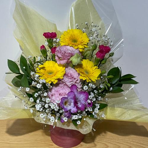 ���F�̃K�[�x���ƃg���R�L�L���E�̃A�����W�����g�I