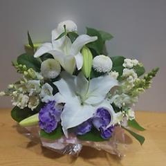 ���؁I�S���Ƌe�̂������A�����W�����g