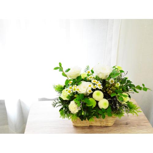 �����o�X�P�b�g�̔�����