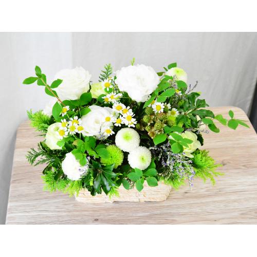 �����o�X�P�b�g�̔�����2