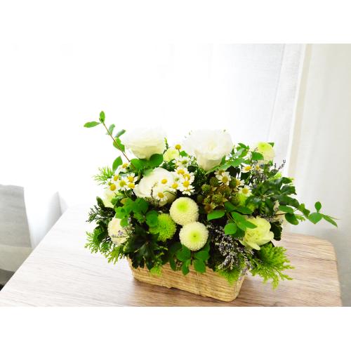 �����o�X�P�b�g�̔�����4