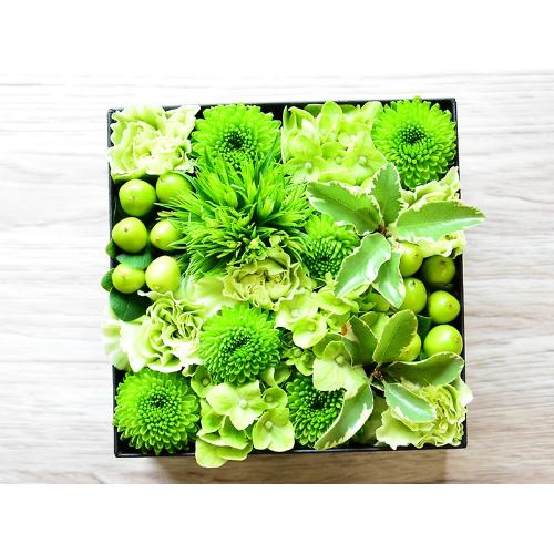 BOX�A�����W�i�O���[���j