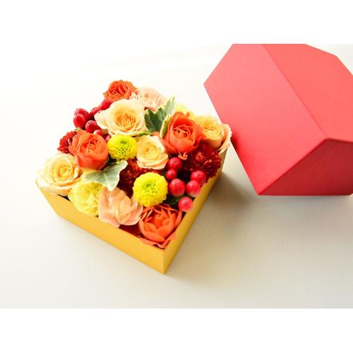 ��������BOX�A�����W�����g�y�I�����W�z2