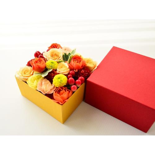 ��������BOX�A�����W�����g�y�I�����W�z3