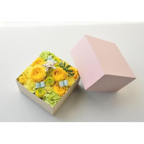 ��������BOX�A�����W�����g�y�C�G���[�z