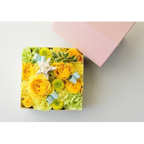��������BOX�A�����W�����g�y�C�G���[�z3