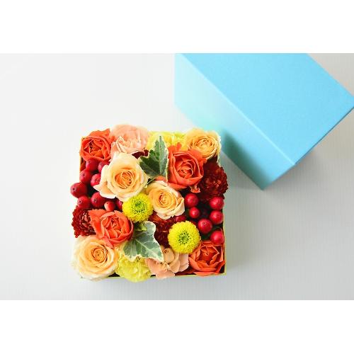 �݂�����BOX�A�����W�����g�y�I�����Wmix�z3