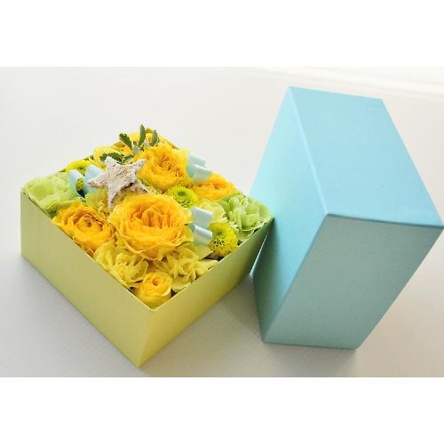 �݂�����BOX�A�����W�����g�y�C�G���[�z3