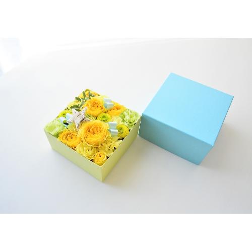 �݂�����BOX�A�����W�����g�y�C�G���[�z4