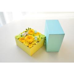 �݂�����BOX�A�����W�����g�y�C�G���[�z