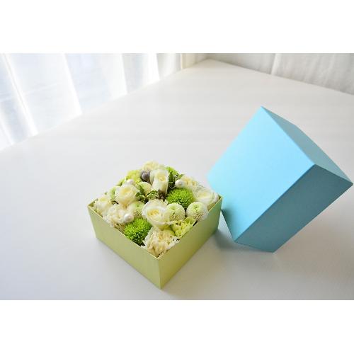 �݂�����BOX�A�����W�����g�y�z���C�g�z2