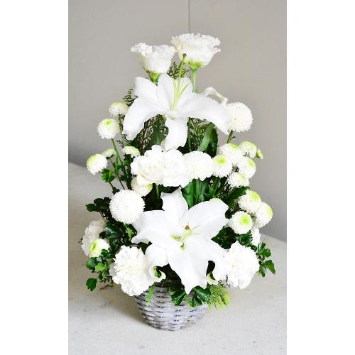 �y�䋟���z�����̓������X�����ȃz���C�g�A�����W
