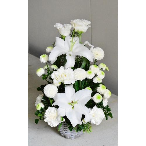 �y�䋟���z�����̓������X�����ȃz���C�g�A�����W3
