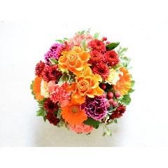 �e�[�u���ɏ���I�����W�̃A�����W