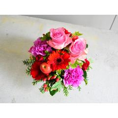 �s���N�ƃ��b�h�̂��킢���؂₩�ȃA�����W