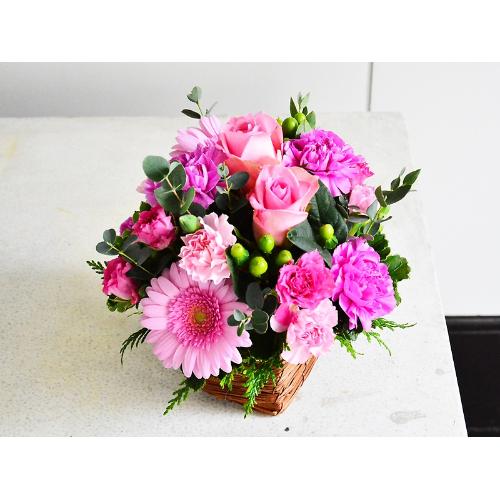 �����s���N�̉������E���h�A�����W�����g3