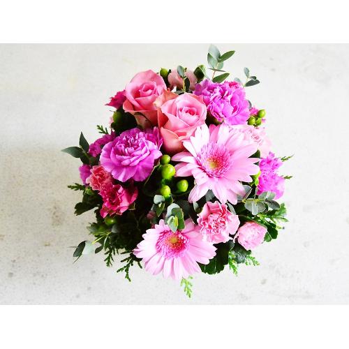 �����s���N�̉������E���h�A�����W�����g4