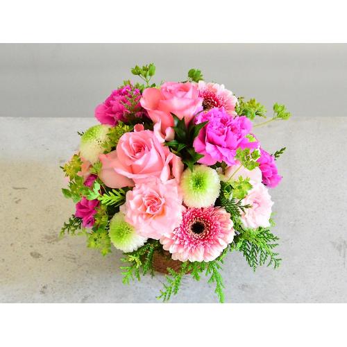 �s���N�ƃO���[���̂���₩���E���h�A�����W