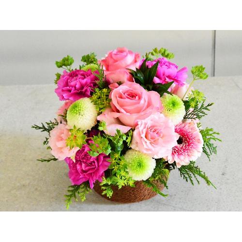 �s���N�ƃO���[���̂���₩���E���h�A�����W2