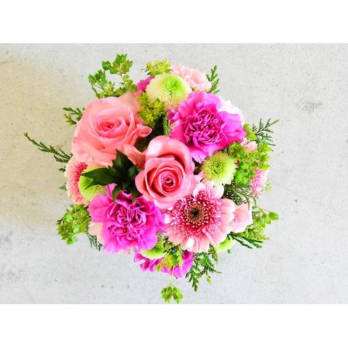 �s���N�ƃO���[���̂���₩���E���h�A�����W3