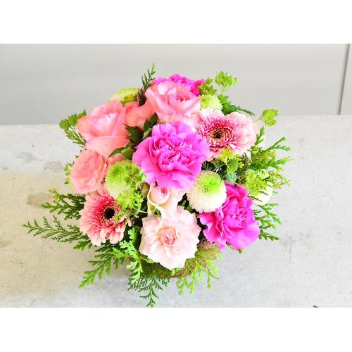 �s���N�ƃO���[���̂���₩���E���h�A�����W4