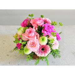 �s���N�ƃO���[���̂���₩���E���h�A�����W