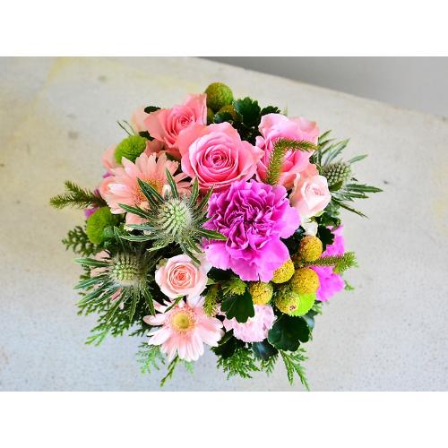 �s���N�̑�l�������E���h�A�����W