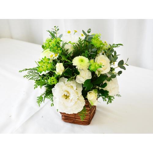 �₳�����O���[���ƃz���C�g�J���[��3