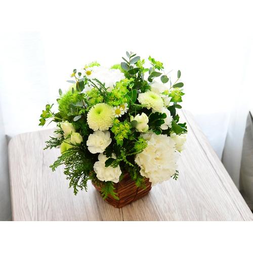 �₳�����O���[���ƃz���C�g�J���[��4