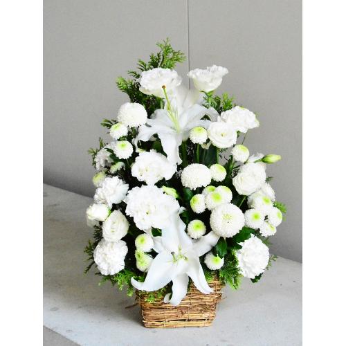 �y�䋟���z�����̓����������̌䋟���A�����W